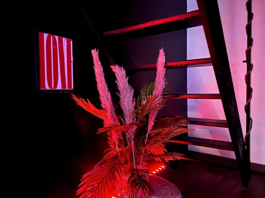 Red Love-Room / Balneo & Plus ! Souppes-sur-Loing Экстерьер фото